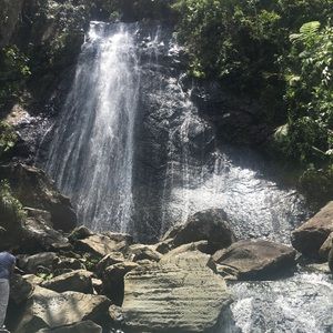 Meet your Posher, Dalia